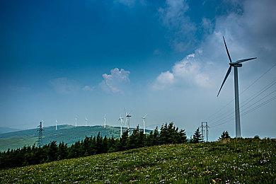 刘思慕：《热血无赖》真人电影剧本已经完成